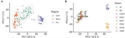 Brain gene expression differences related to ethanol preference in the collaborative cross founder strains